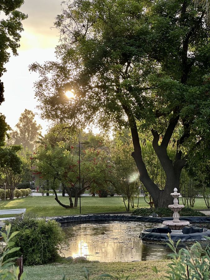 Jardines y pileta del Parque Aves del Mundo al atardecer